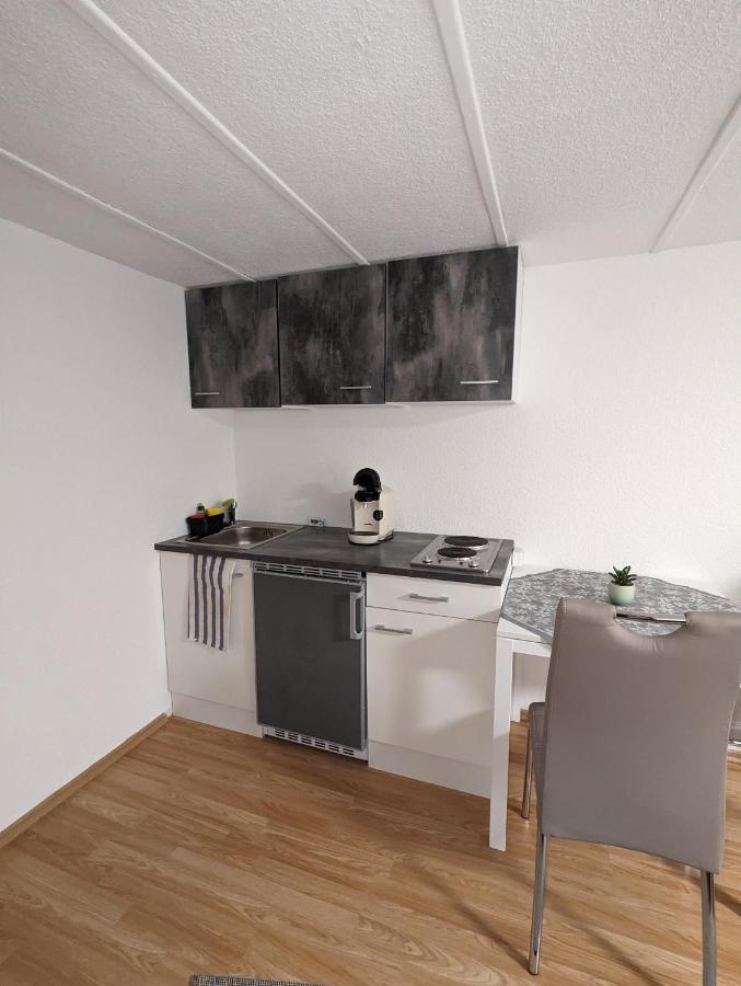 Direkt An Der S-Bahn Gelegenes Gemutliches Souterrain Apartment Mit Privatem Zugang Troisdorf Eksteriør bilde